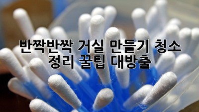 ✨ 반짝반짝 거실 만들기! 청소 & 정리 꿀팁 대방출 ✨