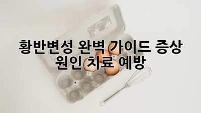 황반변성 완벽 가이드: 증상, 원인, 치료, 예방