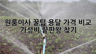 원룸이사 꿀팁🍯: 용달 가격 비교 & 가성비 끝판왕 찾기!