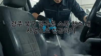 광주 북구 일곡동 소독 청소, 내 사업으로 성공하기